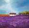 Field of Lavender Poster Print by Philip Bloom - Item # VARPDX1PB443